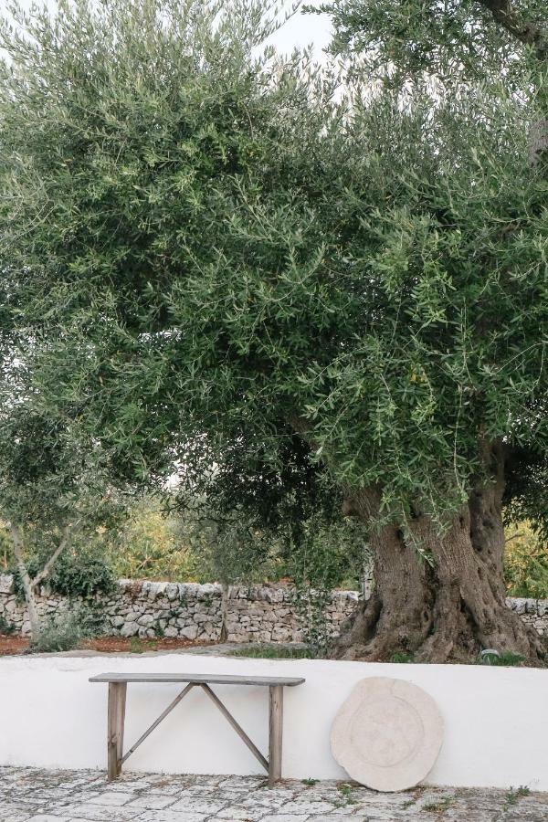 Pietra Pesara Panzió Locorotondo Kültér fotó